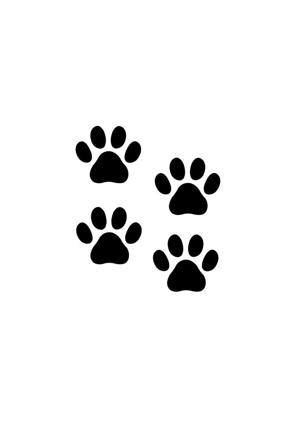 4 Adet Pati İzleri Sticker-oto sticker-araba sticker
