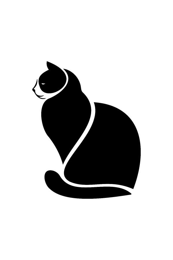 Asil Kedi Oto Sticker 20x15cm