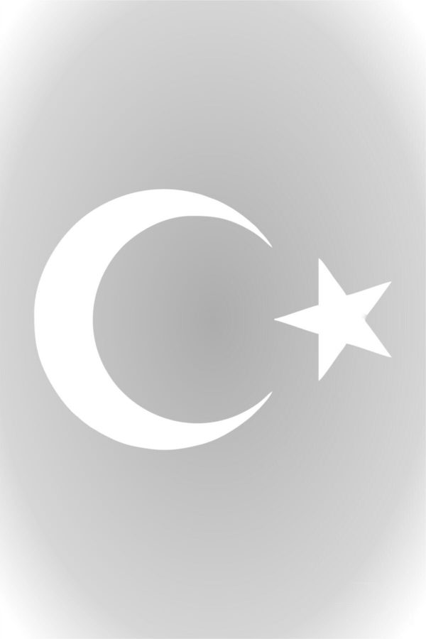 Ay Yıldız Türk Bayrağı 30 Cm Sticker - oto sticker