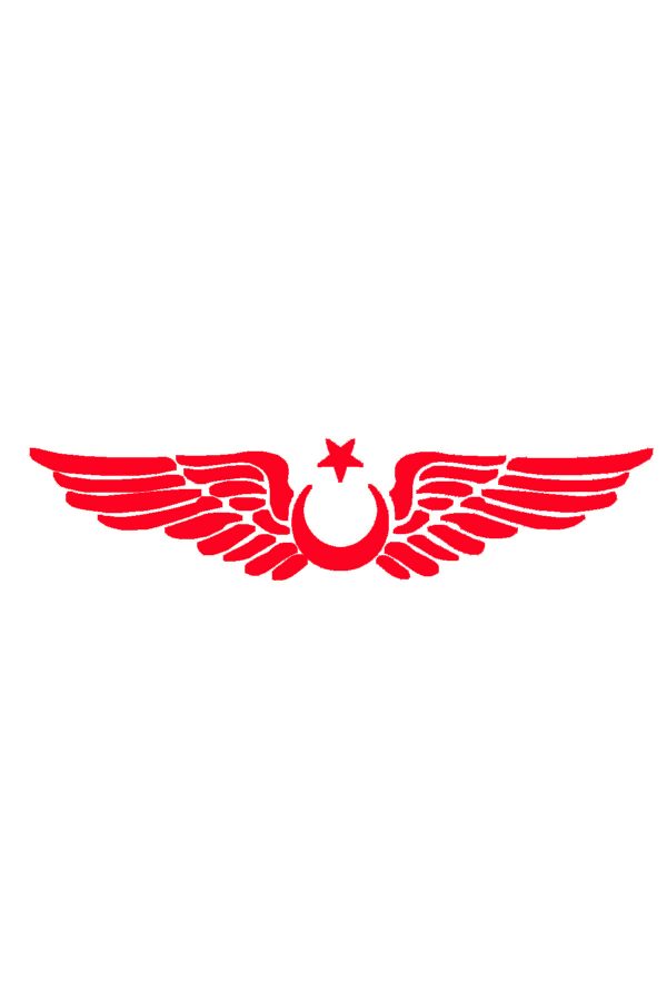 Ay Yıldız Kanatlı Türk bayrağı Oto kapı Cam Kaput Sticker - 30cm